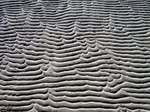 Песок Сокотры