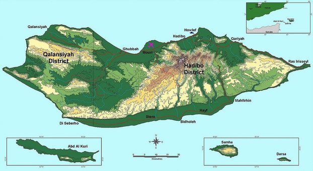 ����� ������� ������� (Socotra)