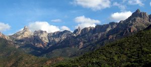 Ayaft, Socotra