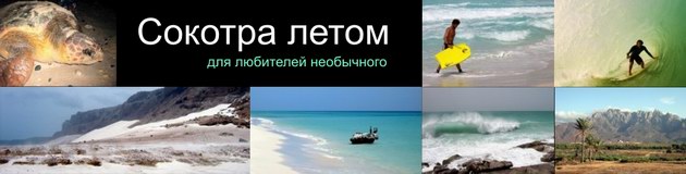 Тур на остров Сокотра