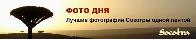 Фото дня