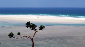 Detwah, Soqotra, Yemen