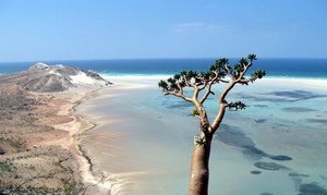 Detwah Lagoon, Socotra, Yemen