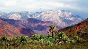 Socotra, Yemen