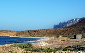 Rush camping, Socotra, Yemen