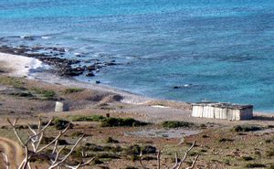 Rush camping, Socotra, Yemen