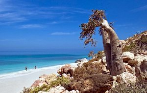 Suab, Socotra, Yemen